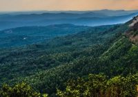 Featured image for Tax Planning Strategies for Entrepreneurs: Maximizing Savings and Growth Fast