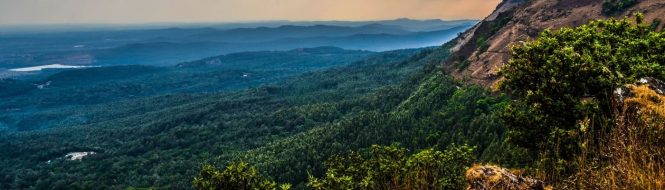 Featured image for Tax Planning Strategies for Entrepreneurs: Maximizing Savings and Growth Fast