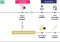 Featured image for How to Analyze Financial Statements to Identify Areas for Improvement Plan