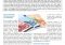 Featured image for The Impact of Changing Tax Laws on Business Investment Decisions Now