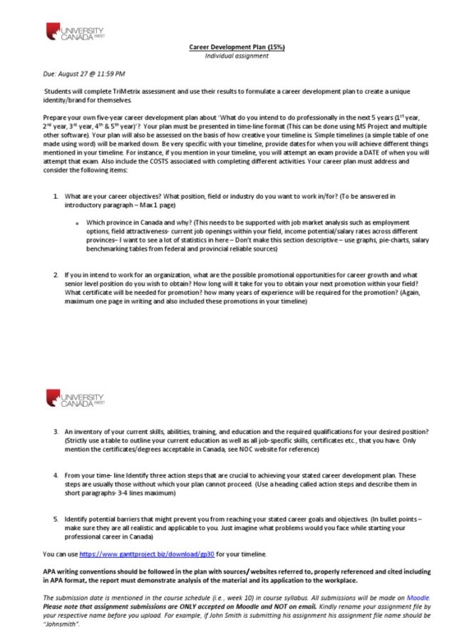 Featured image for How to Prepare a Comprehensive Career Development Plan for Your Future Now