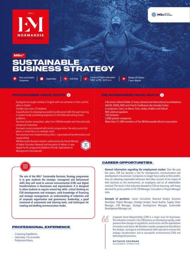 Featured image for Mastering the Art of Strategic Planning for Sustainable Business Expansion