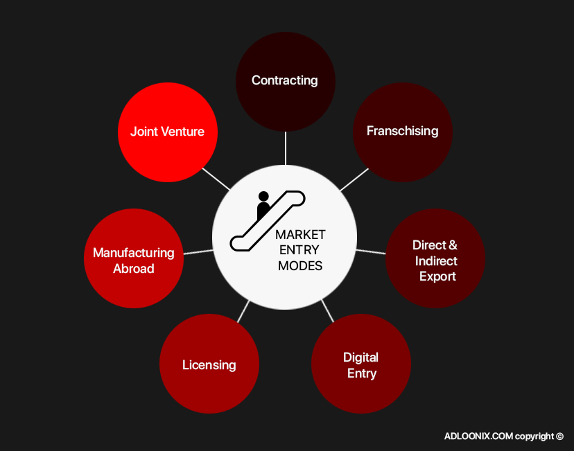 Content image for Navigating the Complexities of Global Market Entry: Strategies for Success
