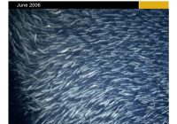 Featured image for The Essential Guide to Managing International Supply Chains Effectively