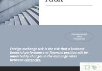 Featured image for The Essential Guide to Understanding Foreign Exchange Markets and Risk