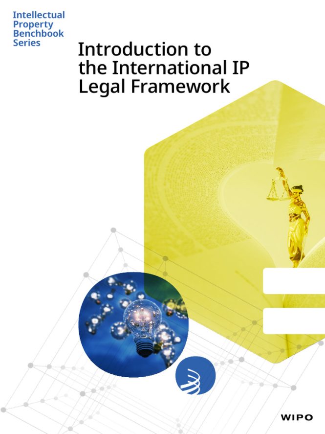Featured image for Navigating the Complexities of International Intellectual Property Rights