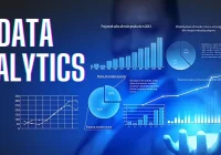 Featured image for Using Data to Enhance Sales: Customer Insights and Analytics for Growth
